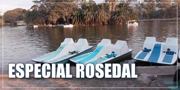 lago del Rosedal con bicibotes, especial Rosedal
