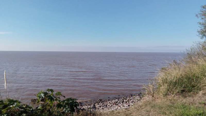 Vista del Río de la Plata desde la Reserva Ecológica Costanera Sur