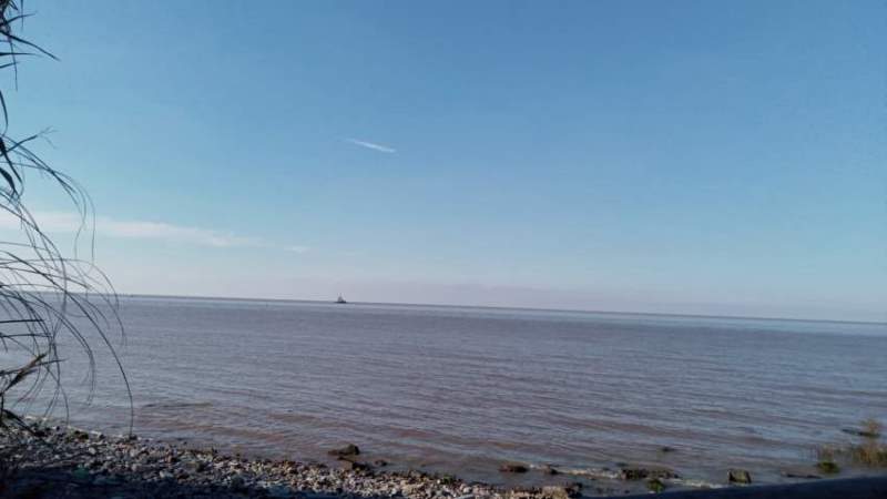 Vista del Río de la Plata desde la Reserva Ecológica Costanera Sur