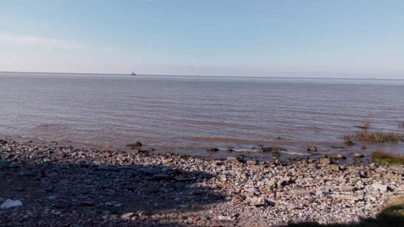 Vista del Río de la Plata desde la Reserva Ecológica Costanera Sur