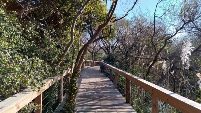 Vista del Río de la Plata desde la Reserva Ecológica Costanera Sur