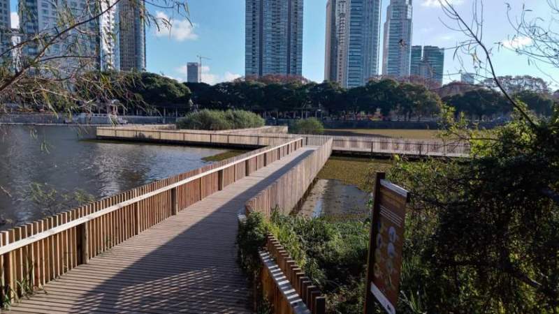 Accesos, puentes y senderos en Reserva Ecológica Costanera Sur