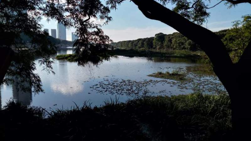 Lagunas en Reserva Ecológica Costanera Sur